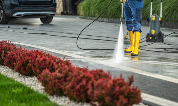 Animal Enclosure Cleaning in Clifton, TX